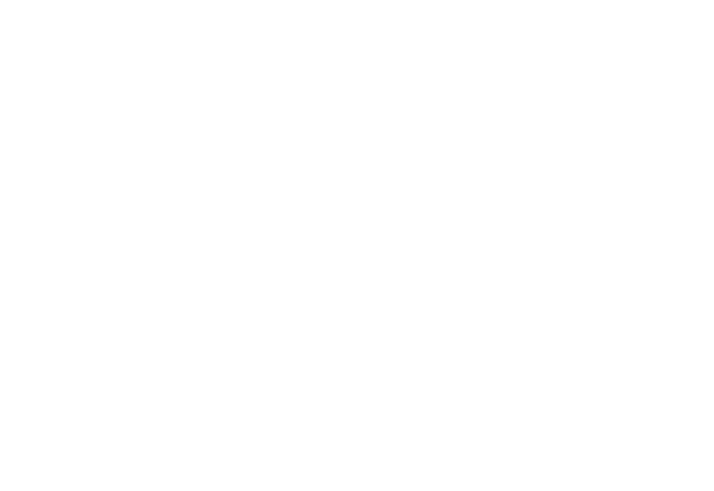 Cabeza de LITO